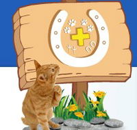 Midland Vet Hospital - Vet Melbourne