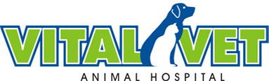 Vital Vet Animal Hospital