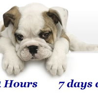 Animal Ambulance - Vet Melbourne