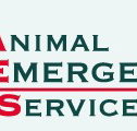 Animal Emergency Service - Vet Melbourne