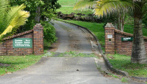 Currumbin Valley Veterinary Services - Vet Melbourne 0