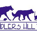 Chandlers Hill Vet - Vet Melbourne
