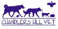 Chandlers Hill Vet - Vet Melbourne 0