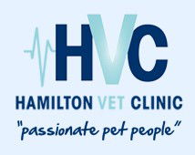 Hamilton Veterinary Clinic - Vet Melbourne 0