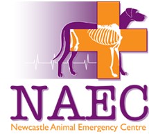 Newcastle Animal Emergency Centre - Vet Melbourne 0