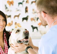All Creatures Veterinary Centre - Vet Melbourne