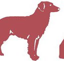 Deakin Veterinary Hospital - Vet Melbourne