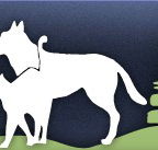 Gungahlin Veterinary Hospital - Vet Melbourne