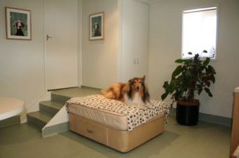 Warburton ACT Vet Melbourne