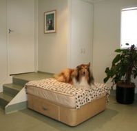 Holistic Paws - Vet Melbourne