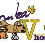 Manuka Veterinary Hospital - Vet Melbourne