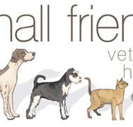 Small Friends Veterinary Hospital - Vet Melbourne
