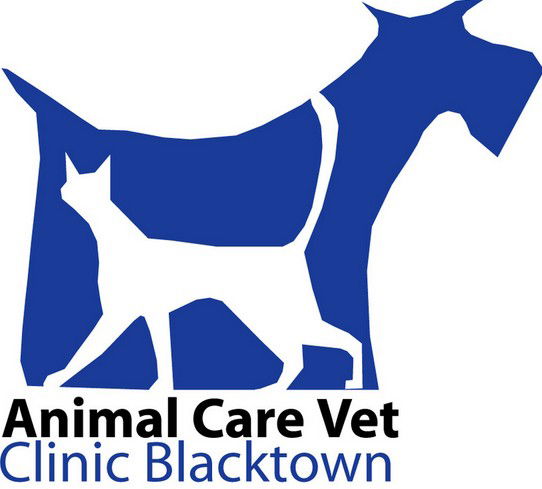  Vet Melbourne