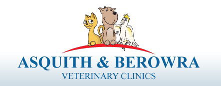 North Sydney NSW Vet Melbourne