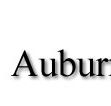 Auburn Veterinary Hospital - Vet Melbourne