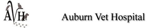 Auburn Veterinary Hospital - Vet Melbourne 0