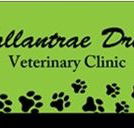 Ballantrae Drive Veterinary Clinic - Vet Melbourne
