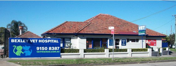  Vet Melbourne