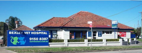 Bexley Veterinary Hospital - Vet Melbourne 0
