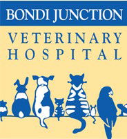 Edgecliff NSW Vet Melbourne