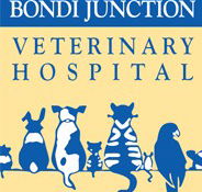Bondi Junction Veterinary Hospital - Vet Melbourne