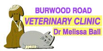 North Strathfield NSW Vet Melbourne