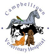 Campbelltown Veterinary Hospital - Vet Melbourne 0