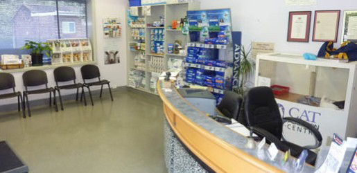Northwood NSW Vet Melbourne
