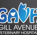 Gill Avenue Veterinary Hospital - Vet Melbourne