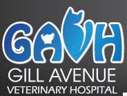 Gill Avenue Veterinary Hospital - Vet Melbourne 0