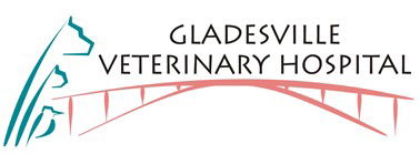 Gladesville Veterinary Hospital - Vet Melbourne 0