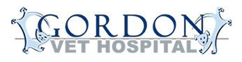 Gordon Vet Hospital - Vet Melbourne 0