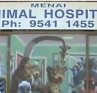 Menai Animal Hospital - Vet Melbourne