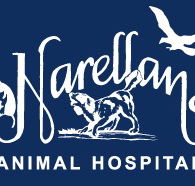 Narellan Animal Hospital - Vet Melbourne