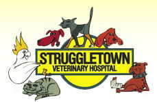 Struggletown Veterinary Hospital - Vet Melbourne 0