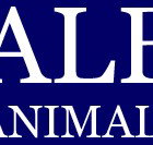 Albert Animal Hospital - Vet Melbourne