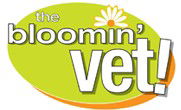 Boronia Heights QLD Vet Melbourne
