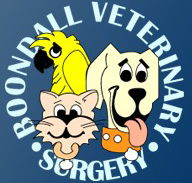 Boondall Veterinary Surgery - Vet Melbourne