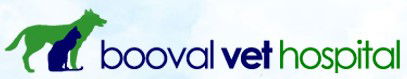 Ebbw Vale QLD Vet Melbourne