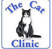 Creek Road Cat Clinic - Vet Melbourne