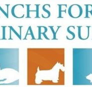 Frenchs Forest Veterinary Surgery - Vet Melbourne
