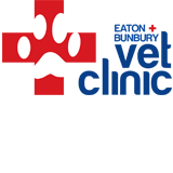 Book Bunbury Accommodation Vacations Vet Melbourne Vet Melbourne