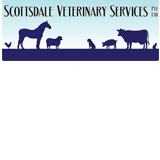 Scottsdale Veterinary Services Pty Ltd - Vet Melbourne