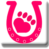 North West Animal Hospital  Clinic - Vet Melbourne