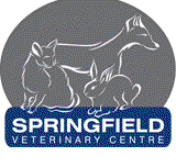 Springfield Veterinary Centre - Vet Melbourne