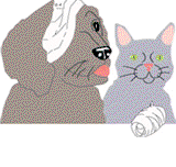 Eastern Shore Veterinary Hospital - Vet Melbourne
