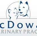 McDowall Veterinary Practice - Vet Melbourne