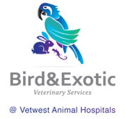 Bird  Exotic Veterinary Services - Perth - Vet Melbourne