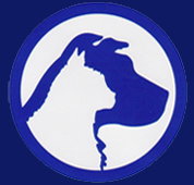 Carrum Downs Veterinary Clinic - Vet Melbourne