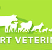 Westernport Veterinary Clinics - Vet Melbourne